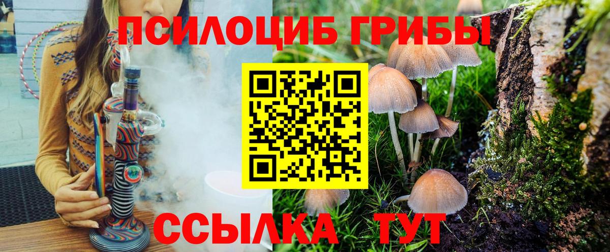 Псилоцибиновые грибы прущие грибы Воронеж