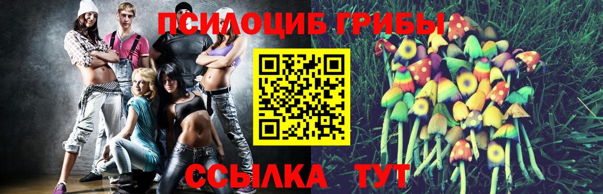 цена   Галлюциногенные грибы MAGIC MUSHROOMS  Псилоцибиновые грибы мицелий  Вход с VPN  Воронеж 